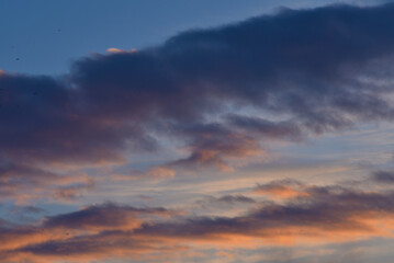 Naklejka na ściany i meble Evening sunset sky. Dark blue yellow clouds in the sky.