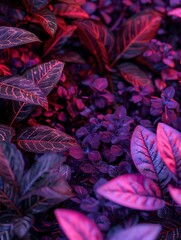 autumn leaves background