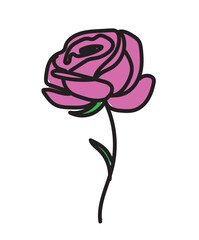 Rose pattern vectror illustration. Pink white rose patterns
