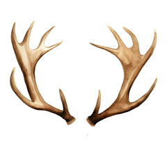 Fototapeta premium AI-generated watercolor deer's horn clip art illustration. Isolated elements on a white background.