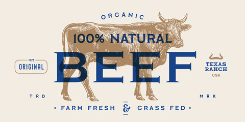 Cow, bull, beef meat, tag label. Template Meat Beef Tag Label. Vintage cow print, tag, label sketch ink pencil drawing. Butchery cow, bull, beef meat shop, text, typography. Vector Illustration - 778903462