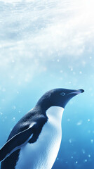 Obraz premium Elegant penguin, flipper raised, icy background, high resolution,bokeh, elegant, isolated, beautiful