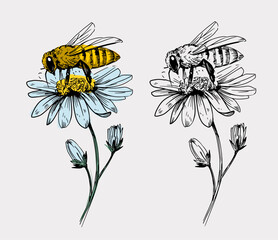 Bee on a flower, vector sketch illustration, hand drawn, black outline