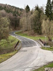 A winding road cuts through a dense forest of tall trees. Vertical mobile photo.