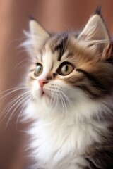 Naklejka na ściany i meble fluffy cute cat Generative AI