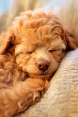 brown puppy sleeping Generative AI