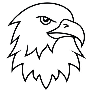 Eagle Vector, Illustration in White Background