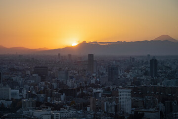 Fototapeta premium High angle night view of Tokyo, Japan, cityscape at dusk