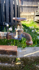 Rusty old water tap close up photography in a garden in the countryside with green grass and flowers