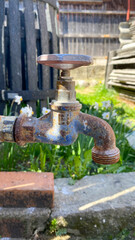 Rusty old water tap close up photography in a garden in the countryside with green grass and flowers - 778925200