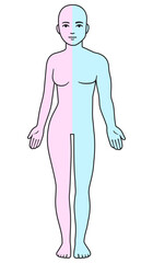 Half male half female body outline