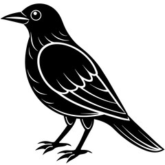 bird on a branch, black Kingfisher silhouette vector illustration,icon,svg,bird characters,Holiday t shirt,Hand drawn trendy Vector illustration,crow bird on black background