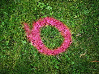 Kreis in Rosa und Pink als Markierung für eine Neupflanzung auf grünem Rasen in Oerlinghausen bei Bielefeld am Hermannsweg im Teutoburger Wald in Ostwestfalen-Lippe - obrazy, fototapety, plakaty