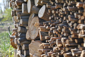 焚き木 薪　Firewood Firewood