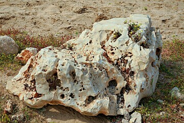 Large stone on the sand dune