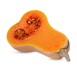 Butternut squash half isolated on white background