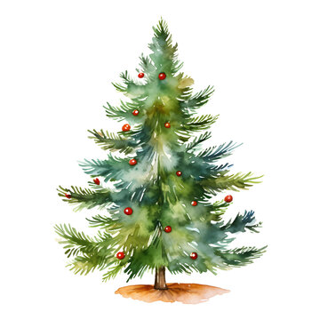 christmas tree watercolor style, illustration.