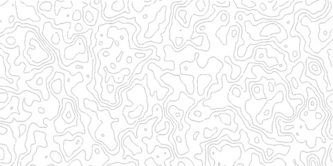 Abstract Topographic map background with wave line, topographic contours map background with geometric lines, Blank Detailed Topographic Contour Map.