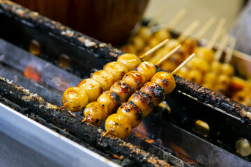 Grilled Sticky Rice Ball in street kiosk. Traditional Japanese food Mochi