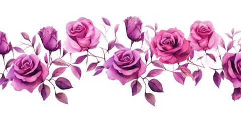 Magenta roses watercolor clipart on white background, defined edges floral flower pattern background with copy space for design text or photo backdrop minimalistic  - obrazy, fototapety, plakaty