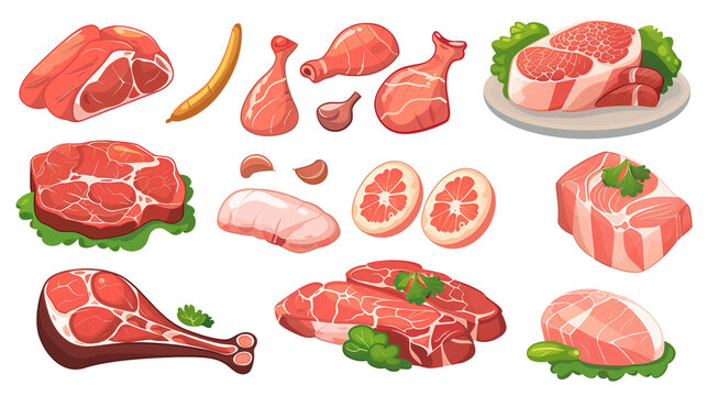 cartoon  style flat icon of various types of meat isolated on white background png