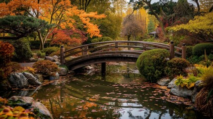 日本庭園・秋 - obrazy, fototapety, plakaty
