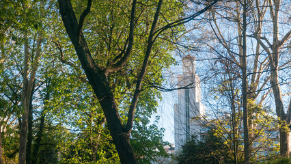 Torre de edificio a través de ramas de árboles de parque