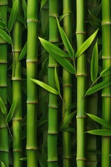 Bamboo background	