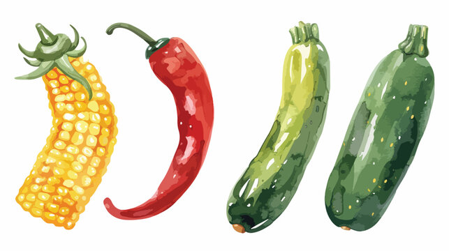 Set of vector watercolor vegetables. Zucchini corn