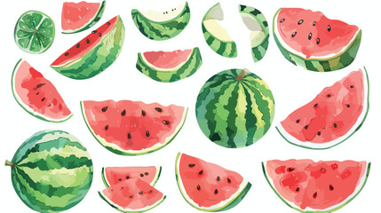 Set of whole half and slices of watermelon in a cut