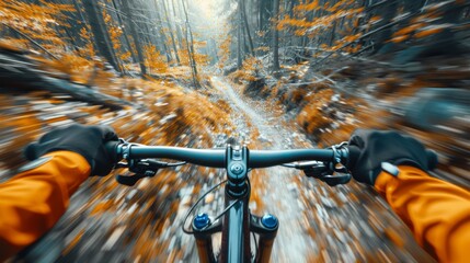 First-person view of a mountain biker speeding through a sun-dappled forest trail. POV concept - obrazy, fototapety, plakaty