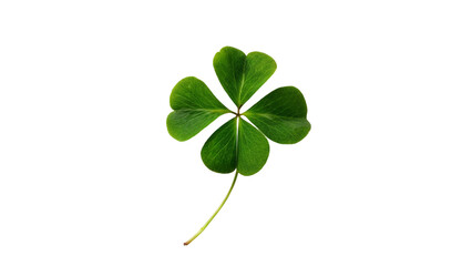 Clover leaf isolated on transparent background. St.Patrick's Day