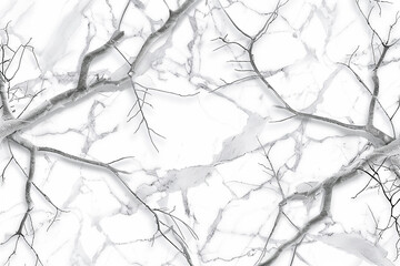 A seamless pattern of white Carrara marble, with delicate grey veins branching out like the limbs of ancient trees. 32k, full ultra HD, high resolution