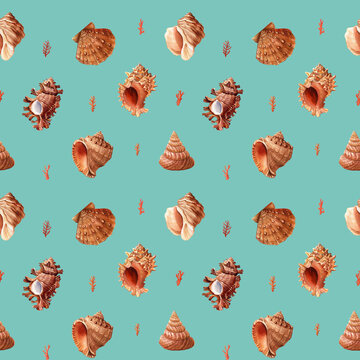 Watercolor seashell seamless pattern. Underwater creatures sea shell, nautical Design wallpaper