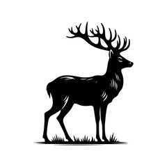 deer vector illustration. Graphic black silhouettes of wild deers – male, female and roe deer