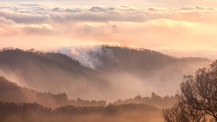 Fototapeta premium fog over the mountains