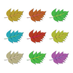 a collection of leaves that are from the autumn.