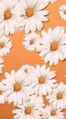 Peach and white daisy pattern, hand draw, simple line, flower floral spring summer background design with copy space for text or photo backdrop 