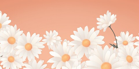 Peach and white daisy pattern, hand draw, simple line, flower floral spring summer background design with copy space for text or photo backdrop 