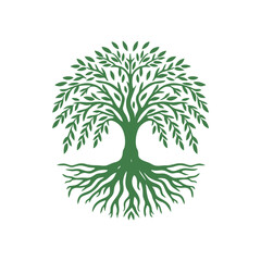 Root tree logo vector. Root of the tree vector logo symbol illustration design, oak tree vintage logo design
