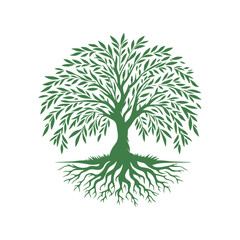 Root tree logo vector. Root of the tree vector logo symbol illustration design, oak tree vintage logo design