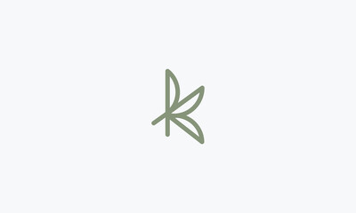 Fototapeta na wymiar letter K monogram logo design vector illustration