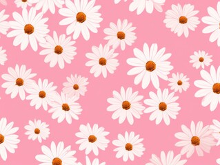 Fototapeta na wymiar Pink and white daisy pattern, hand draw, simple line, flower floral spring summer background design with copy space for text or photo backdrop 