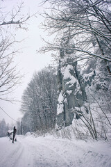 Winter landscape. A road in a snowy winter forest