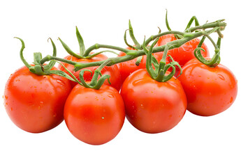 6 fresh tomatoes on the vine isolated on a white background