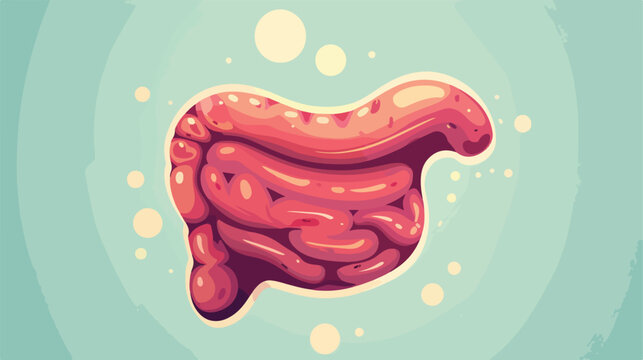 Stomach organ icon illustration vector graphic 2d f