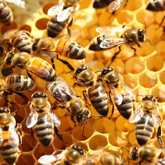 the bustling life within a beehive, with honeybees working in unison