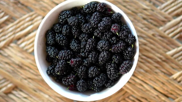 Black mulberry (Morus nigra), Drop In A cup Super Slow Motion 240fps 4k footage 