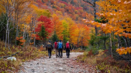 A group of friends embarking on a scenic hike, surrounded by the vibrant colors of autumn foliage.