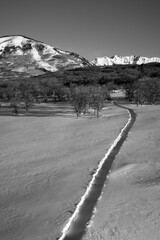 Snowshoe trail into the San Juan National Forest, SW Colorado